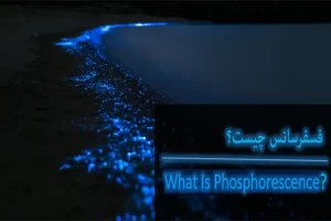 فسفرسانس چیست